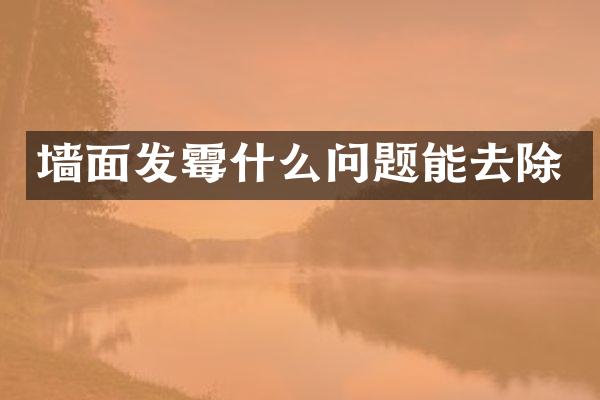 墙面发霉什么问题能去除