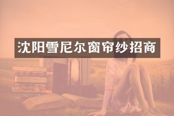 沈阳雪尼尔窗帘纱招商