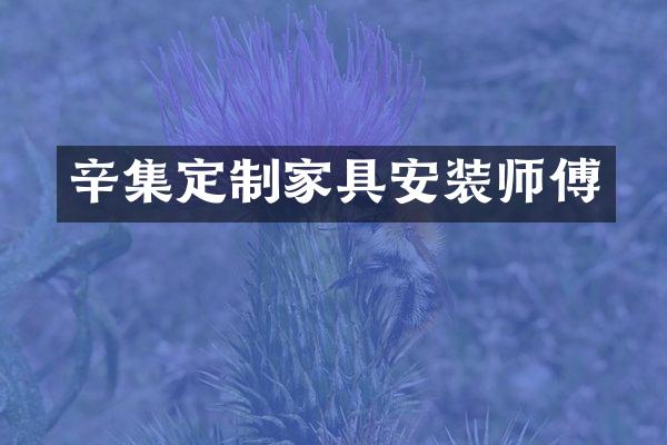 辛集定制家具安装师傅