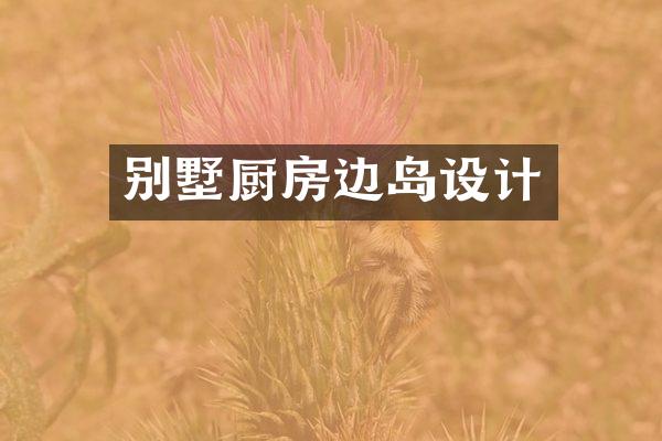 别墅厨房边岛设计