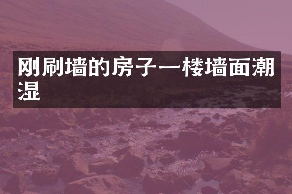 刚刷墙的房子一楼墙面潮湿
