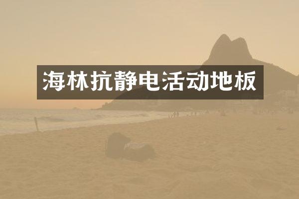 海林抗静电活动地板