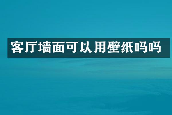 客厅墙面可以用壁纸吗吗
