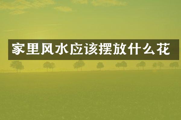 家里风水应该摆放什么花
