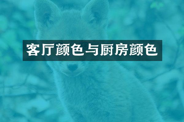客厅颜色与厨房颜色