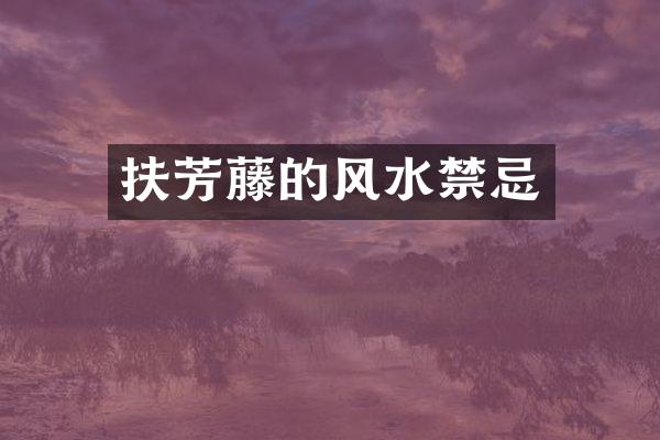 扶芳藤的风水禁忌