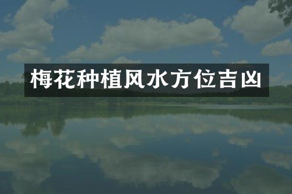 梅花种植风水方位吉凶