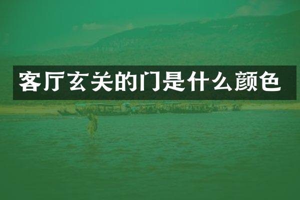 客厅玄关的门是什么颜色