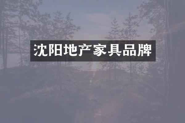 沈阳地产家具品牌