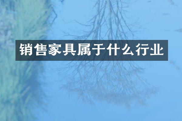 销售家具属于什么行业