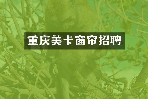 重庆美卡窗帘招聘