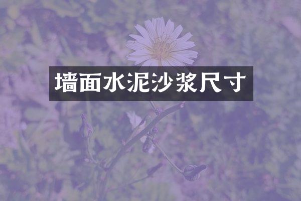 墙面水泥沙浆尺寸