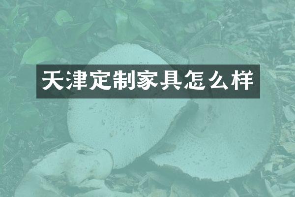 天津定制家具怎么样