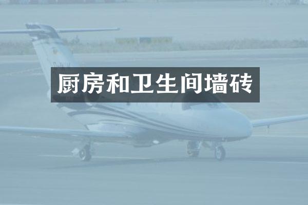 厨房和卫生间墙砖
