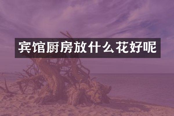宾馆厨房放什么花好呢