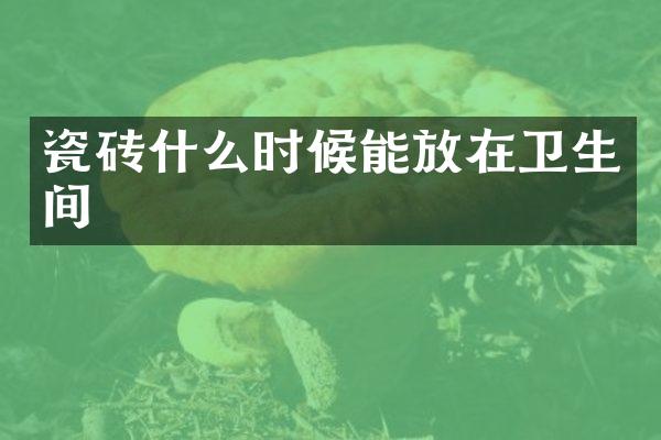 瓷砖什么时候能放在卫生间