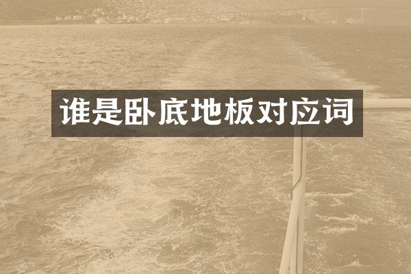 谁是卧底地板对应词