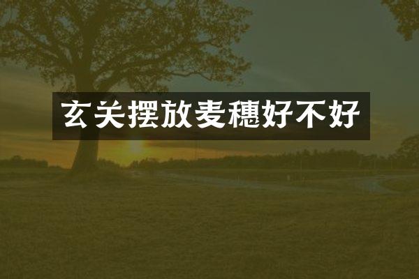 玄关摆放麦穗好不好