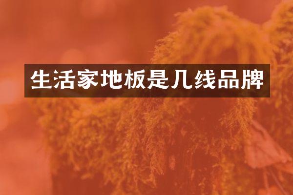 生活家地板是几线品牌