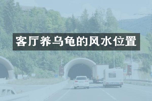 客厅养乌龟的风水位置