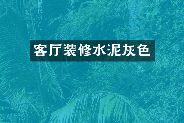 客厅装修水泥灰色