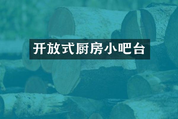 开放式厨房小吧台
