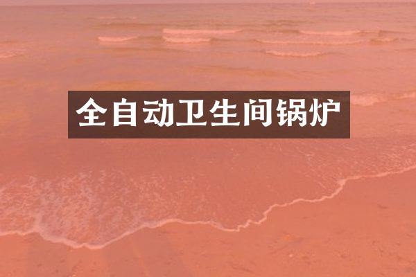全自动卫生间锅炉