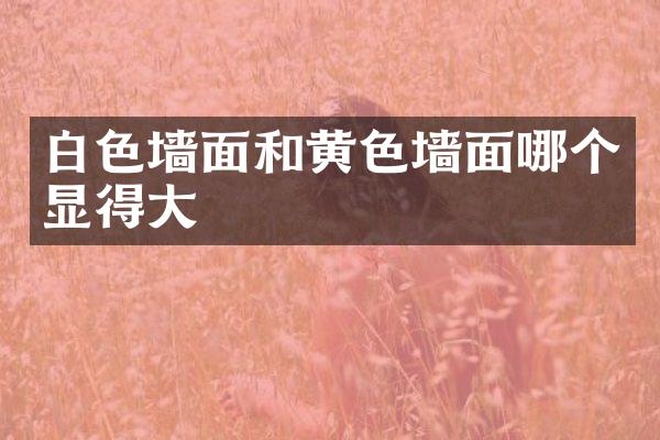 白色墙面和黄色墙面哪个显得大