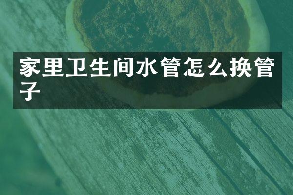 家里卫生间水管怎么换管子