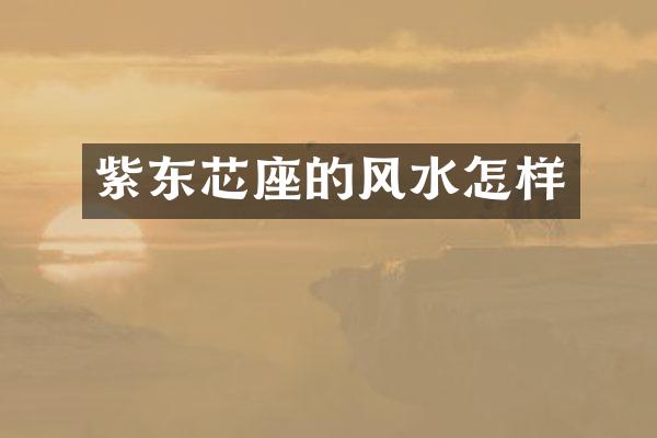 紫东芯座的风水怎样