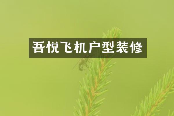 吾悦飞机户型装修