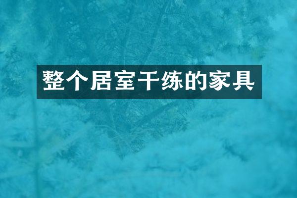 整个居室干练的家具