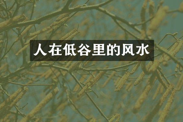 人在低谷里的风水