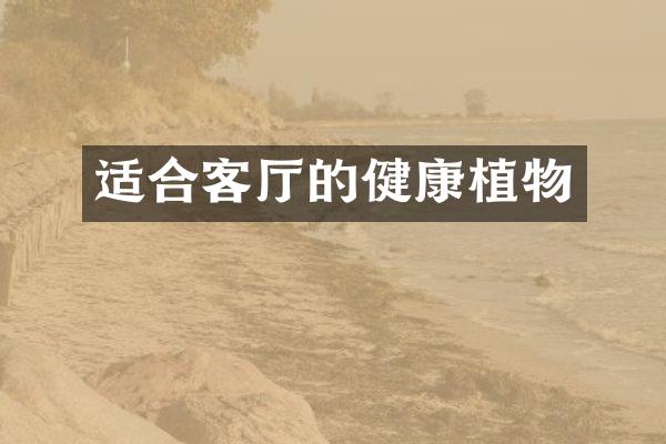 适合客厅的健康植物