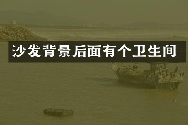 沙发背景后面有个卫生间