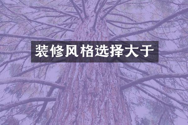 装修风格选择大于