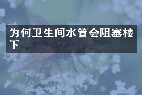 为何卫生间水管会阻塞楼下