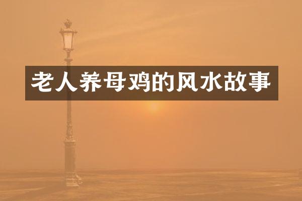 老人养母鸡的风水故事