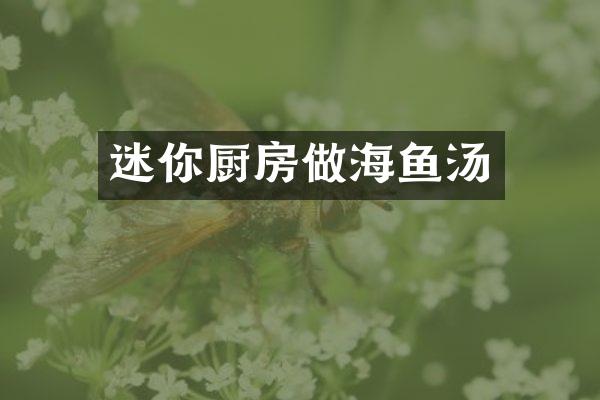 迷你厨房做海鱼汤