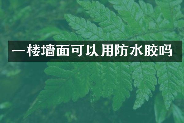 一楼墙面可以用防水胶吗