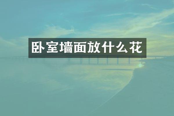 卧室墙面放什么花