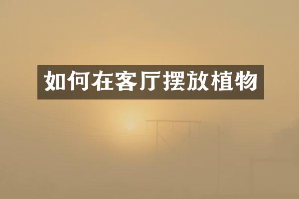 如何在客厅摆放植物