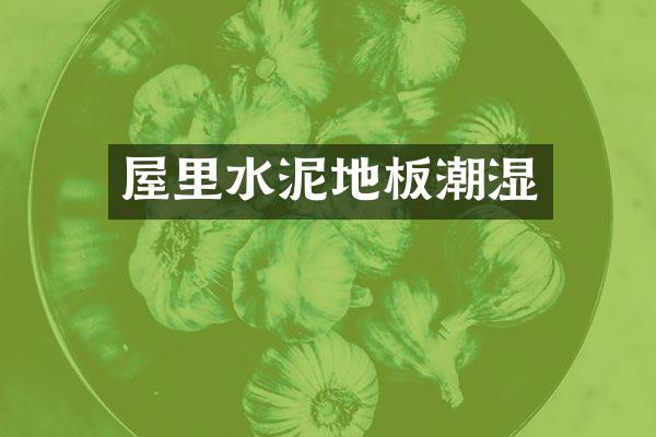 屋里水泥地板潮湿