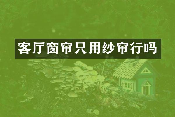 客厅窗帘只用纱帘行吗