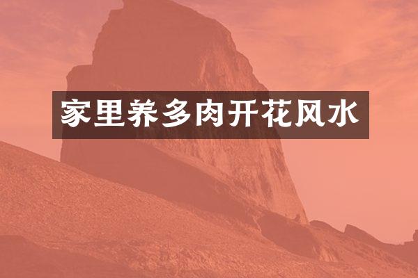 家里养多肉开花风水