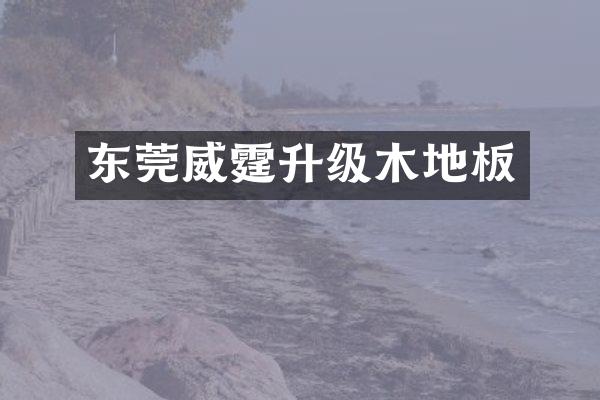 东莞威霆升级木地板