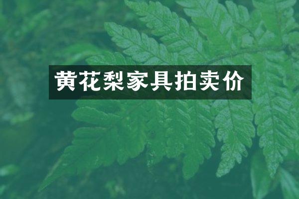 黄花梨家具拍卖价
