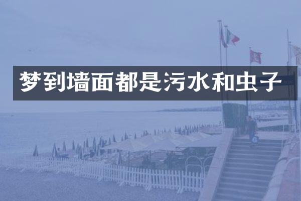 梦到墙面都是污水和虫子