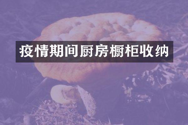 疫情期间厨房橱柜收纳