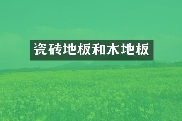瓷砖地板和木地板